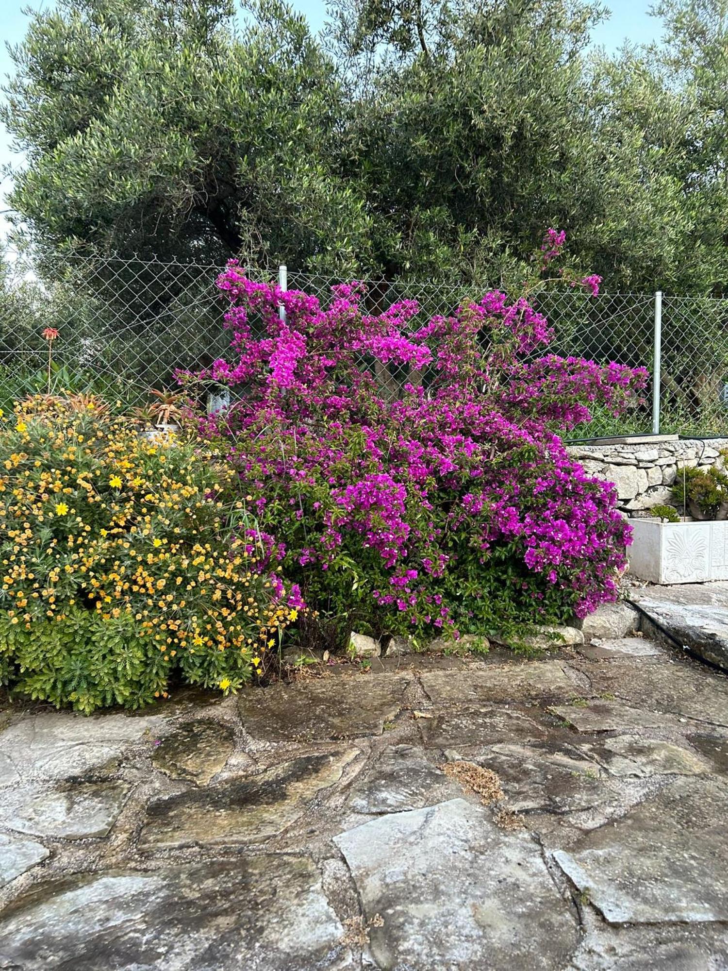 Old stone villa in Apokoronas Villa Nostalgia Kreta Fílippos Esterno foto